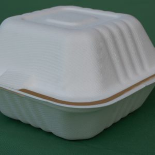 Concha BAGAZO DE CAÑA 6×6 